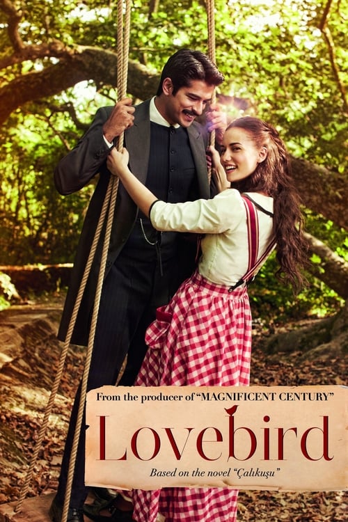 مسلسل طائر النمنمة الحلقة 17